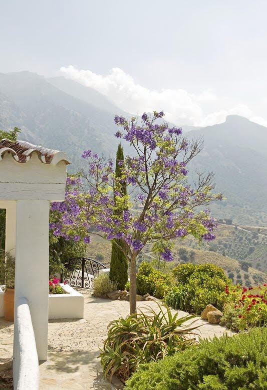 Spanish House Architecture In Rustic Style pictures